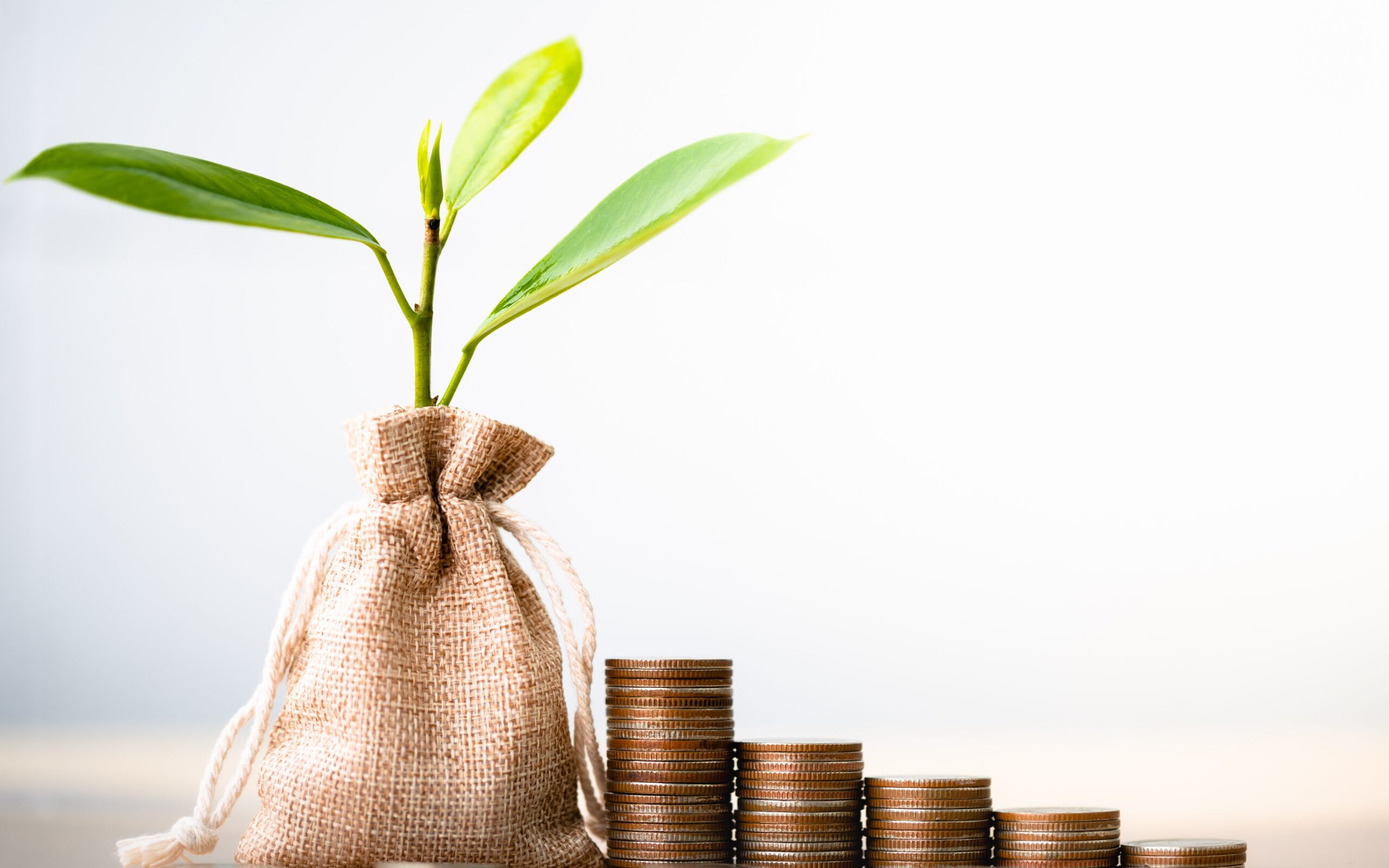 Coins in sack and small plant tree. Pension fund, 401K, Passive income. savings and making money. Investment and retirement. Business investment growth concept. Risk management.